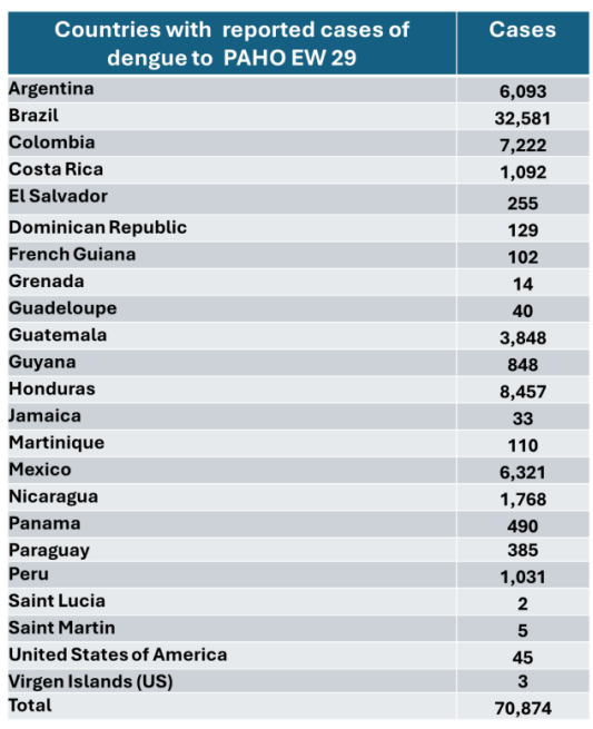 Dengue Übersicht Amerika